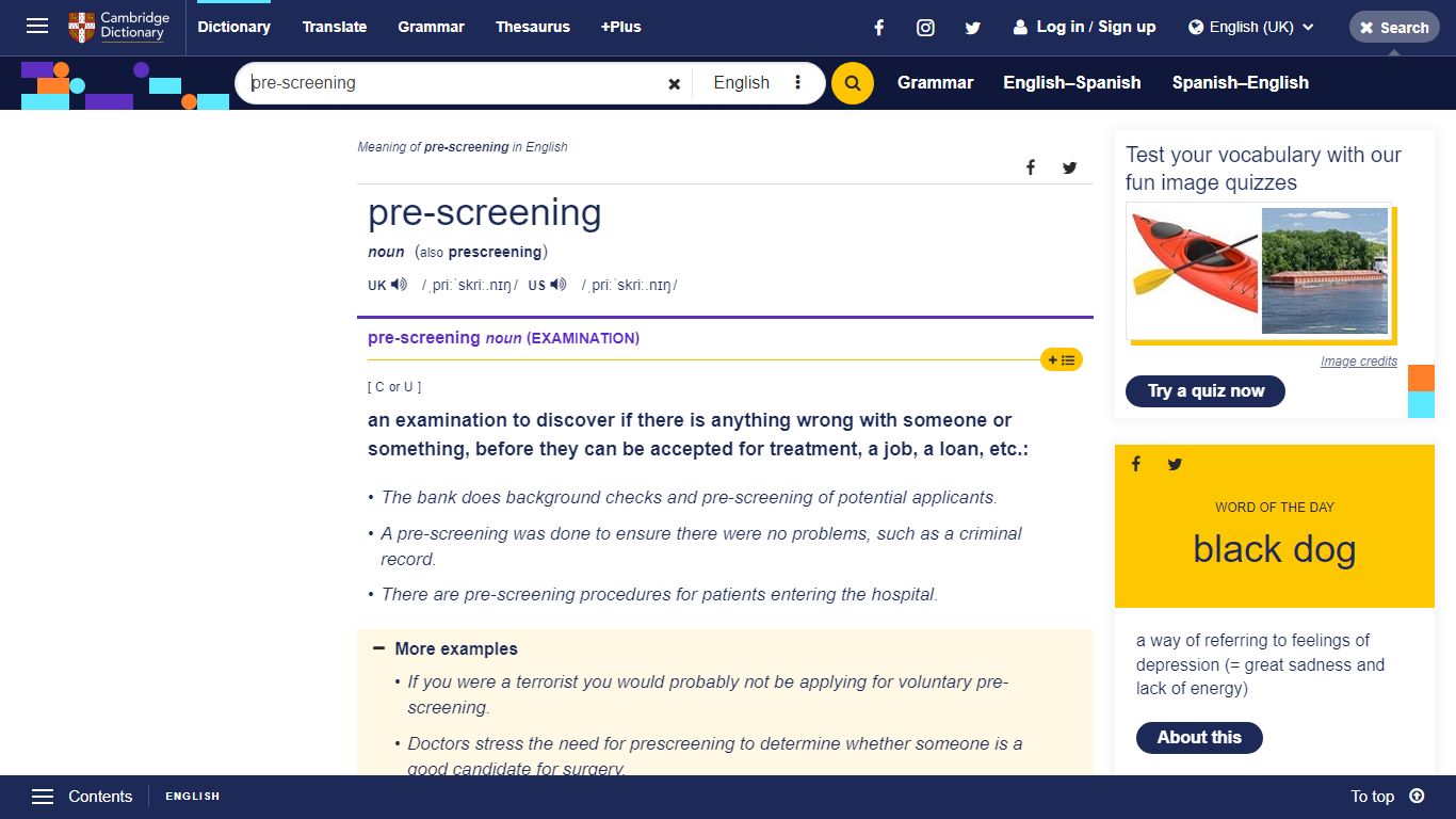 PRE-SCREENING | meaning in the Cambridge English Dictionary